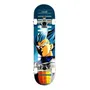 Primeira imagem para pesquisa de skate