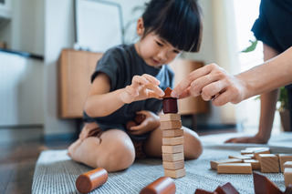 os icônicos blocos LEGO
