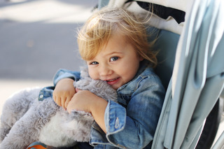  tudo sobre os carrinhos de bebês