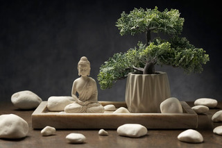 Feng Shui, uma prática milenar chinesa