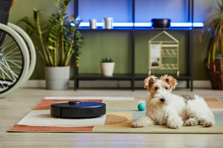 iRobot roomba: modelo 650 vs. modelo 880, elige el adecuado para tu hogar